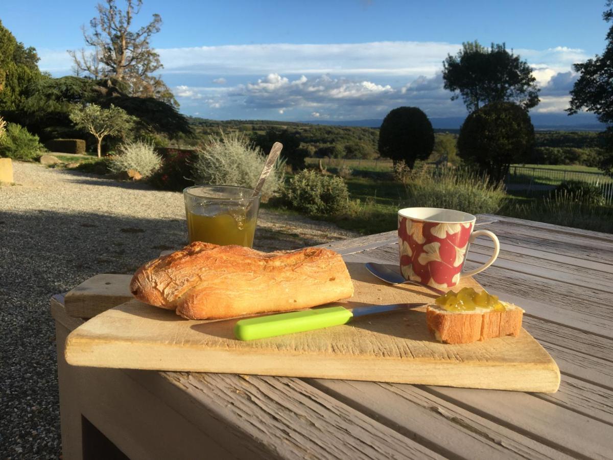 Chateau De Villeneuve - Montolieu Eksteriør billede