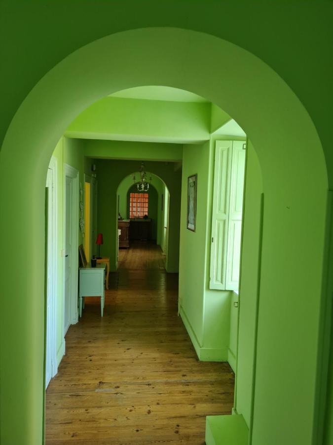 Chateau De Villeneuve - Montolieu Eksteriør billede