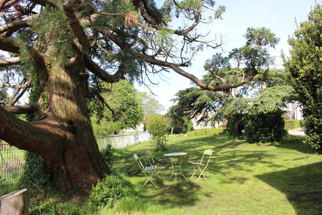 Chateau De Villeneuve - Montolieu Eksteriør billede